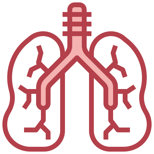 Pulmonology